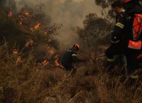 Φωτιά στη Ρόδο: Εντολή εκκένωσης του χωριού Απόλλωνας