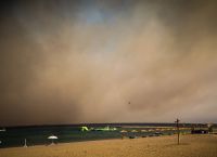 Λέκκας για φωτιά στη Ρόδο: Πρωτόγνωρες οι εικόνες – Το περιβάλλον έχει καταστραφεί