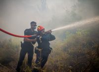 Evros fires continue, while new ones break out in Thessaly, Messinia; Soufli residents on alert