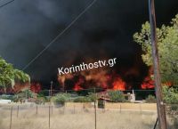 Φωτιά στο Λουτράκι: Εκκενώνεται το γηροκομείο «Ελπίς»