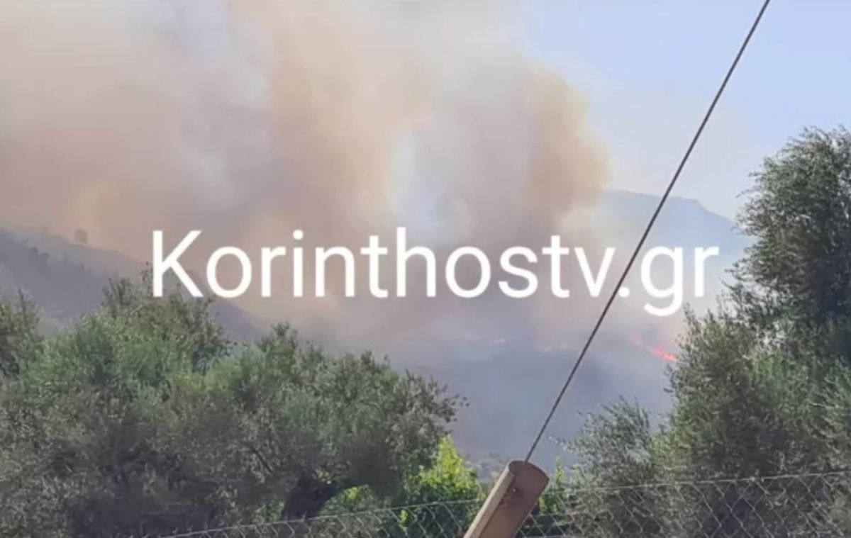 Μεγάλη φωτιά στην Μαμουσιά Αιγίου – Καίει παρθένο δάσος σε δύσβατη περιοχή