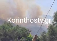 Μεγάλη φωτιά στην Μαμουσιά Αιγίου – Καίει παρθένο δάσος σε δύσβατη περιοχή