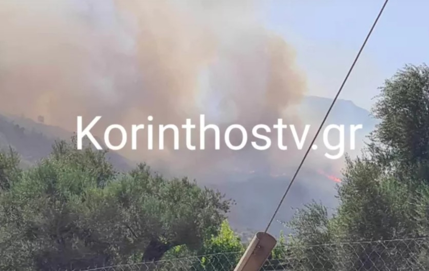 Μεγάλη φωτιά στην Μαμουσιά Αιγίου – Καίει παρθένο δάσος σε δύσβατη περιοχή