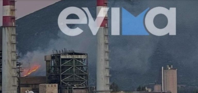 Εύβοια: Ξέσπασε φωτιά κοντά σε εργοστάσιο της ΔΕΗ στο Αλιβέρι