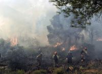 Πυροσβεστική: Μεγάλη προσοχή τις επόμενες μέρες – 46 δασικές πυρκαγιές το τελευταίο 24ωρο