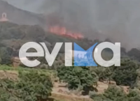 Φωτιά στην Κάρυστo: Καίγονται σπίτια στον Πλατανιστό