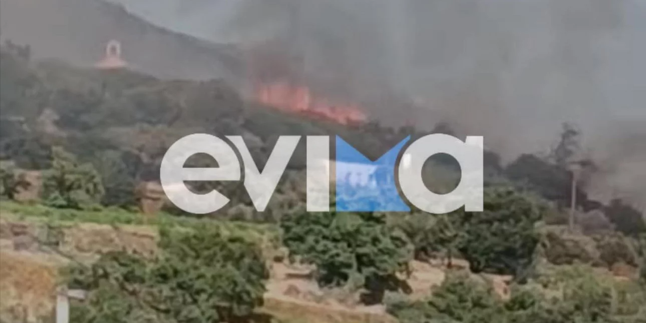 Φωτιά στην Κάρυστo: Καίγονται σπίτια στον Πλατανιστό
