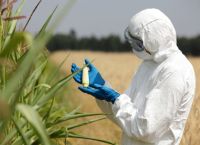 ΕΕ: Στα σκαριά χαλάρωση των περιορισμών για γενετικά μεταλλαγμένες καλλιέργειες