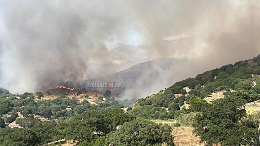 Νάξος: Σε πλήρη εξέλιξη η φωτιά που ξέσπασε σε δασική έκταση – Σηκώθηκαν εναέρια μέσα