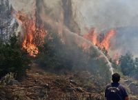 Μαγνησία: Νέο μέτωπο φωτιάς στο Βελεστίνο – Μήνυμα 112 σε Σέσκλο και Άγιο Γεώργιο Φερών