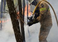 FAZ: Εκκλήσεις για βοήθεια στην πυρόπληκτη Μεσόγειο
