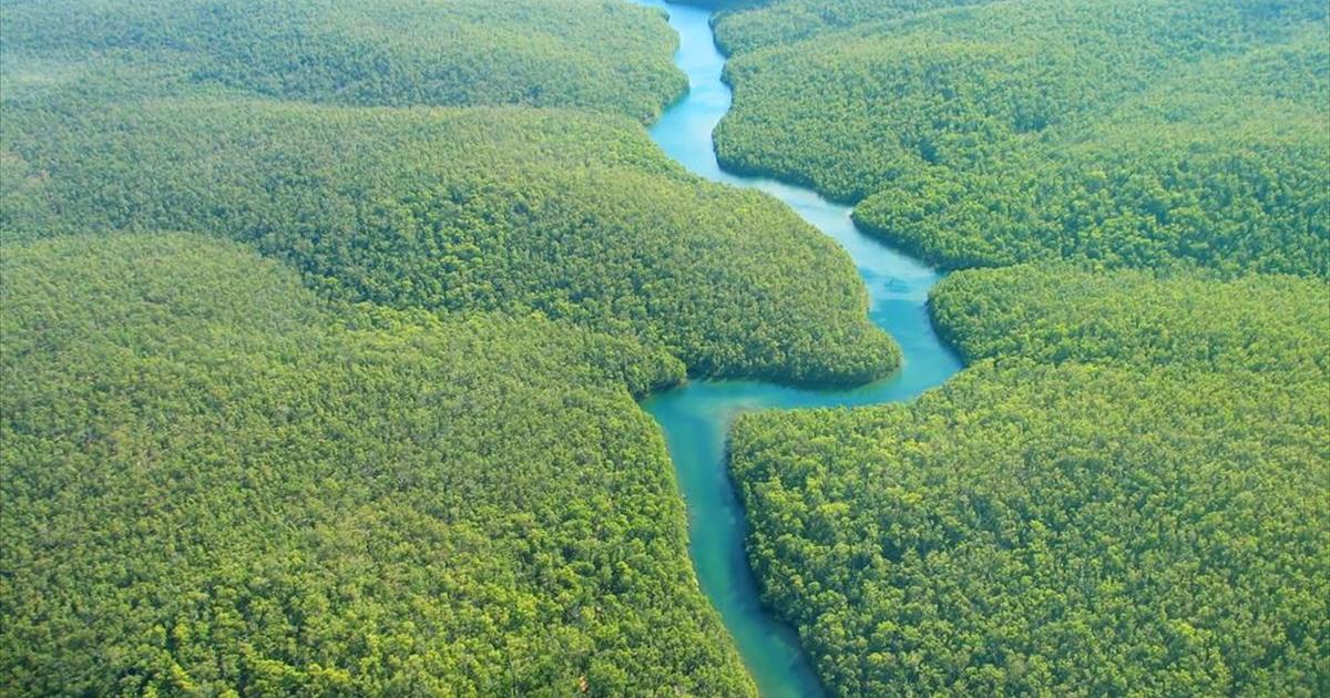 Η αποψίλωση της περιοχής του Αμαζονίου συνεχίζεται