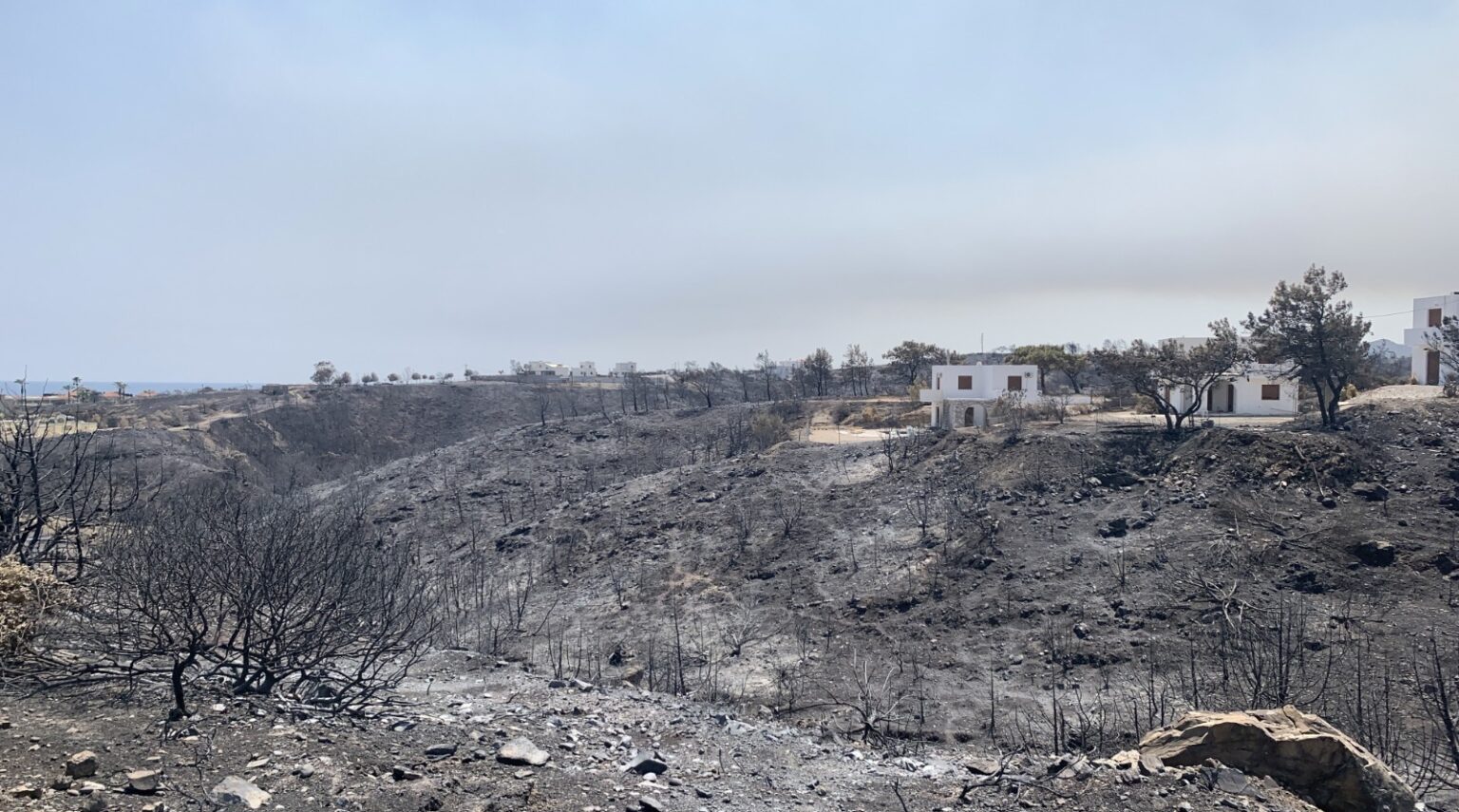 Ανακοινώθηκαν οι αποζημιώσεις του ΕΛΓΑ για τις πυρκαγιές