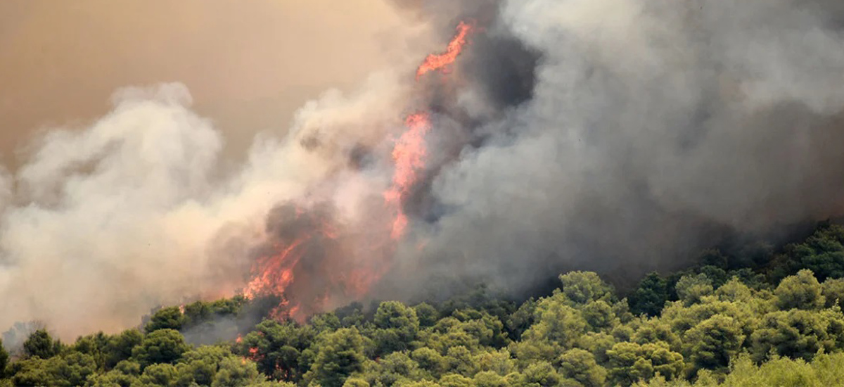 Προς αυστηροποίηση  των ποινών για τους εξ αμελείας εμπρηστές;