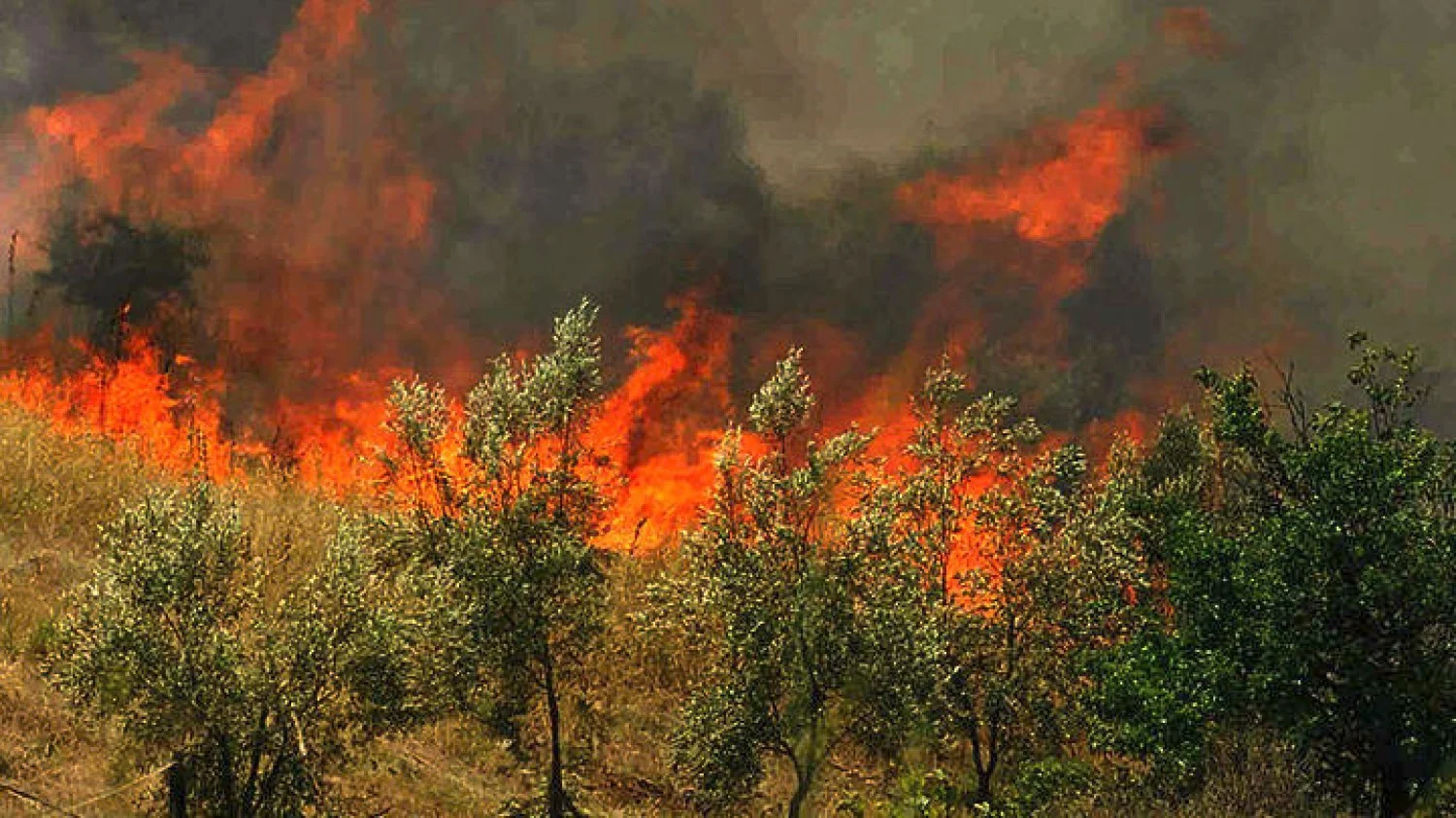 Συνεχής μάχη στα πύρινα μέτωπα της Ελλάδας