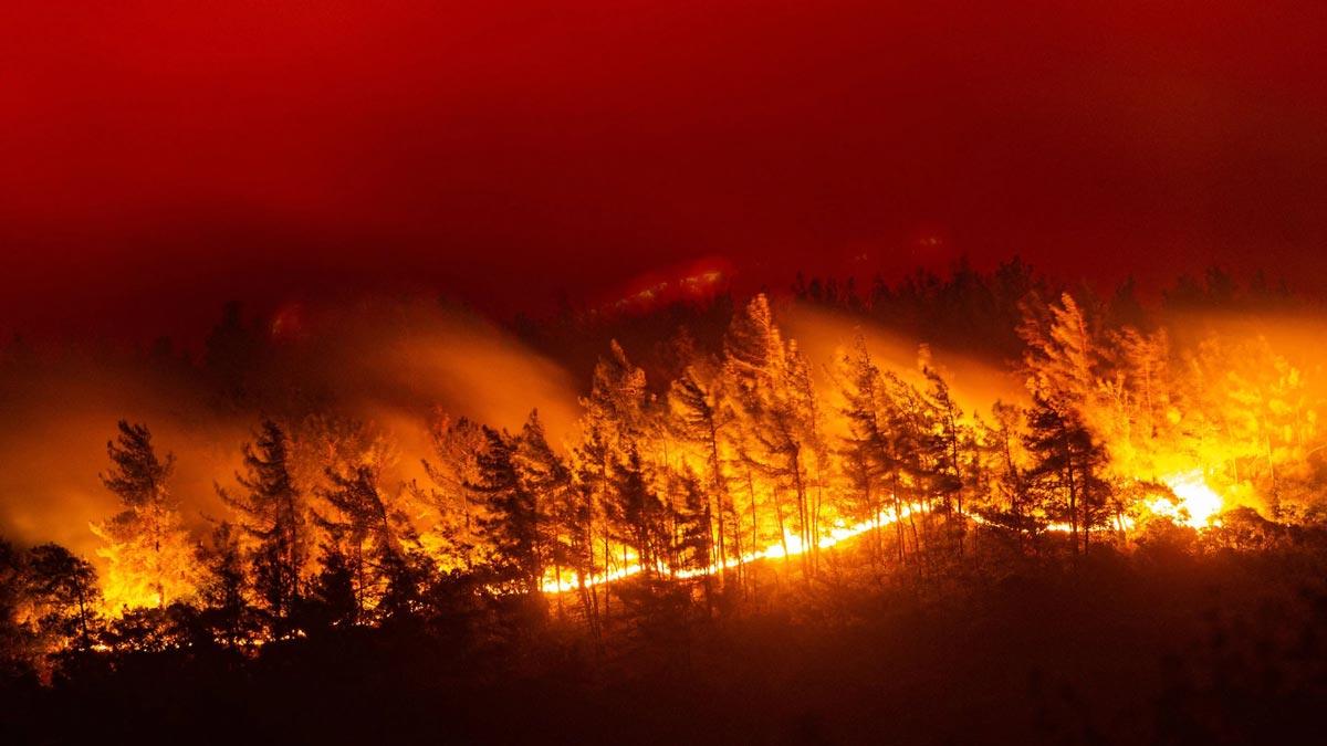 “Δεν ευθύνεται η κλιματική αλλαγή για την έναρξη δασικών πυρκαγιών”