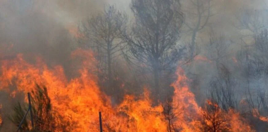 Πυρκαγιές: Το ένα αρνητικό ρεκόρ διαδέχεται το άλλο – Τι επισημαίνει η Copernicus για τον Έβρο