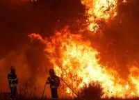 Μάχη με τις φλόγες δίνουν οι πυροσβεστικές δυνάμεις στη Πορτογαλία – Απομακρύνθηκαν 1.400 άνθρωποι