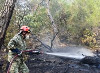 «Κρανίου τόπος» η Δαδιά: Σε απόγνωση αγρότες, κτηνοτρόφοι και μελισσοκόμοι