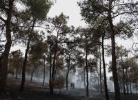 CNN: Στους 96 οι νεκροί στις πυρκαγιές της Χαβάης