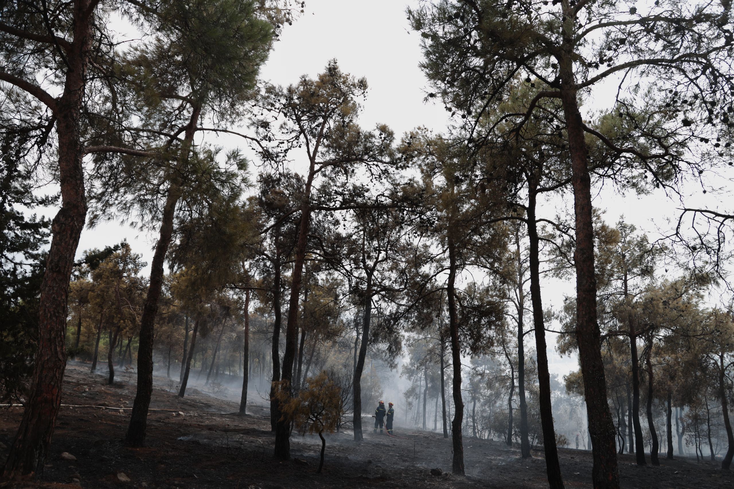 CNN: Στους 96 οι νεκροί στις πυρκαγιές της Χαβάης