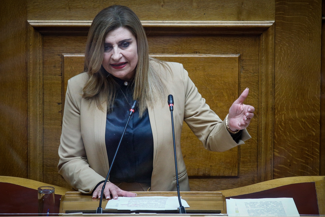 Λιακούλη: «Η Ελλάδα δεν είναι “ξέφραγο αμπέλι” να αλωνίζουν τάγματα εφόδου»