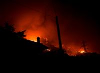 Φωτιά στον Έβρο: Οι τελευταίες στιγμές 18 μεταναστών που απανθρακώθηκαν στο δάσος της Δαδιάς