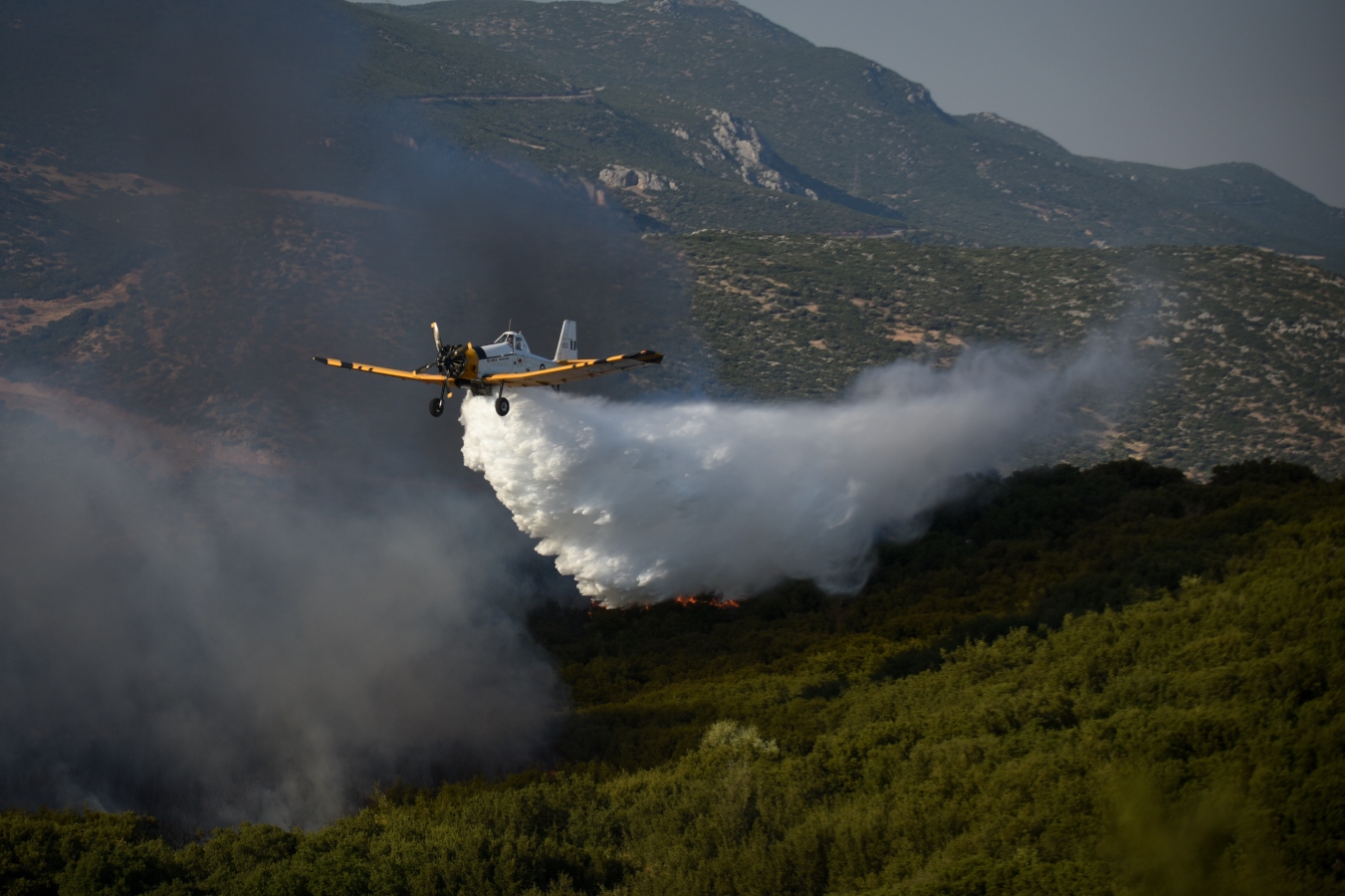 Το οικονομικό κόστος των πυρκαγιών