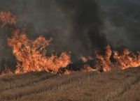 Σε εξέλιξη είναι η πυρκαγιά που ξέσπασε σε ποιμνιοστάσιο της Μαγνησίας – Δεν διασώθηκαν τα ζώα