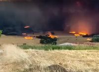 Φωτιά στην Αλεξανδρούπολη: Με κουβάδες και λάστιχα προσπαθούσαν να σώσουν τις περιουσίες τους