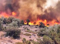 Σε πύρινο κλοιό η χώρα: Φωτιές σε Έβρο, Βοιωτία, Εύβοια, Ροδόπη και Καβάλα – Μηνύματα του 112