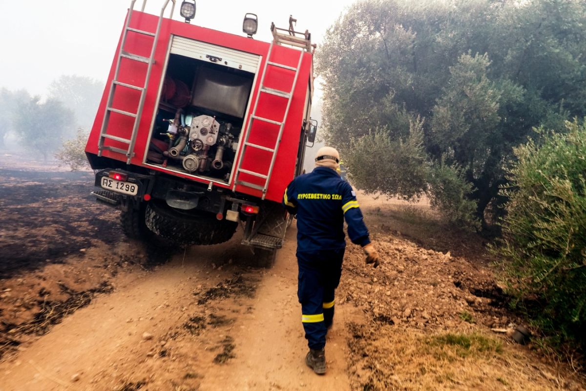 Ροδόπη: Φωτιά σε αγροτοδασική έκταση στην Άνω Δροσίνη