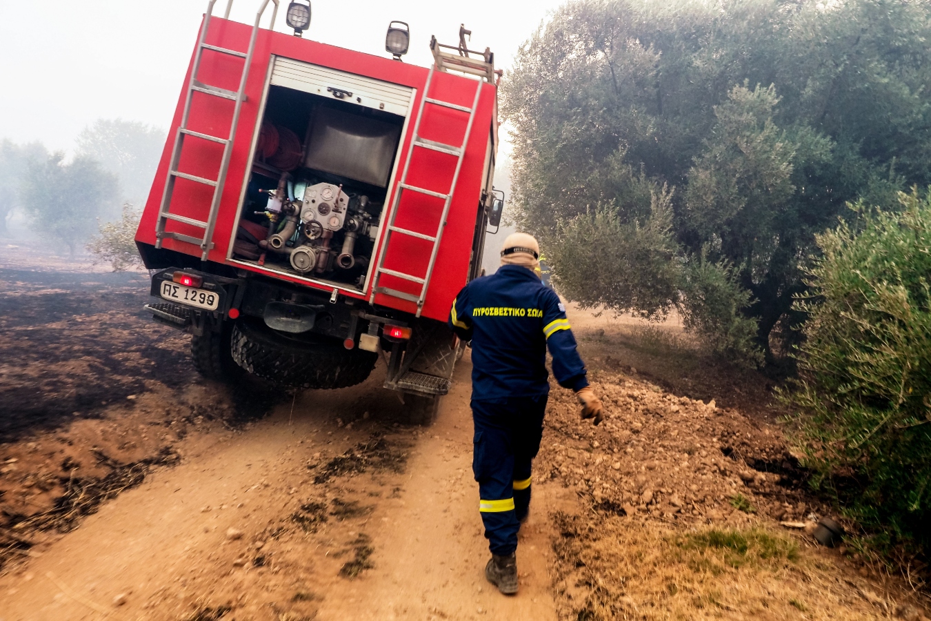 Ροδόπη: Φωτιά σε αγροτοδασική έκταση στην Άνω Δροσίνη