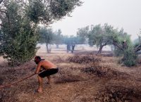 Έβρος: Νέα φωτιά στα Λάβαρα – Μήνυμα για εκκένωση προς Ορεστιάδα
