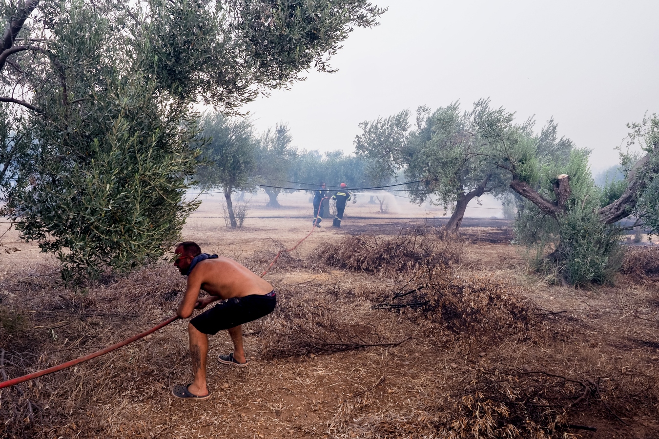 Έβρος: Νέα φωτιά στα Λάβαρα – Μήνυμα για εκκένωση προς Ορεστιάδα