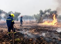 Φωτιά στην Εύβοια: Προς Βατώντα και Αρτάκη το μέτωπο της φωτιάς στα Ψαχνά