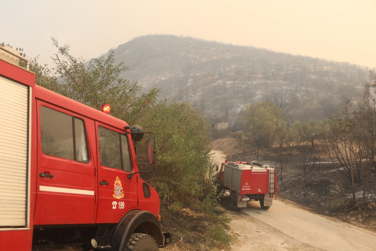 Φωτιά Έβρος: Εντοπίστηκαν 18 απανθρακωμένοι μετανάστες στο δάσος της Δαδιάς