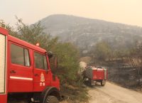 Φωτιά Έβρος: Εντοπίστηκαν 18 απανθρακωμένοι μετανάστες στο δάσος της Δαδιάς