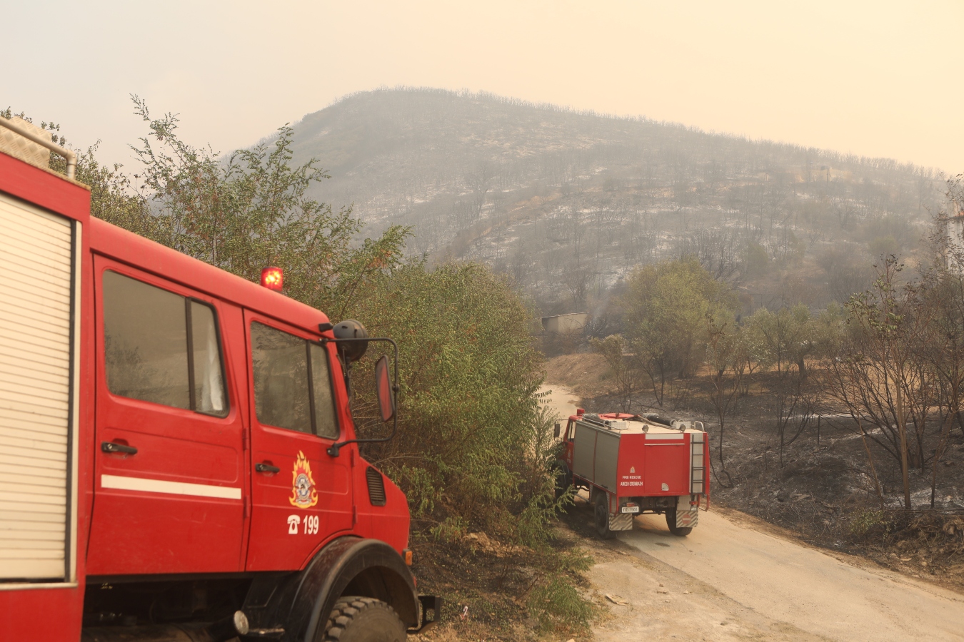 Φωτιά Έβρος: Εντοπίστηκαν 18 απανθρακωμένοι μετανάστες στο δάσος της Δαδιάς