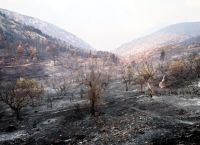 Εκδόθηκε η ΚΥΑ οριοθέτησης πυρόπληκτων περιοχών Ιουλίου 2023