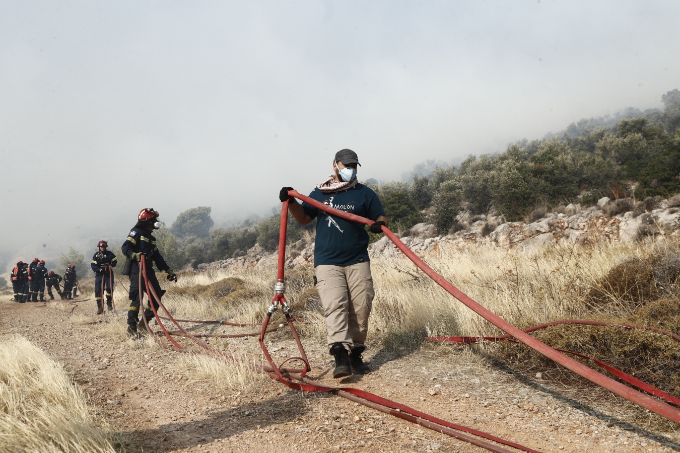 Κεφαλονιά: Κρατείται εποχικός πυροσβέστης- Φέρεται να προκάλεσε δασικές πυρκαγιές