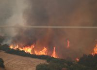 Alexandroupoli: “The largest burnt area on European territory for years,” says the Copernicus service