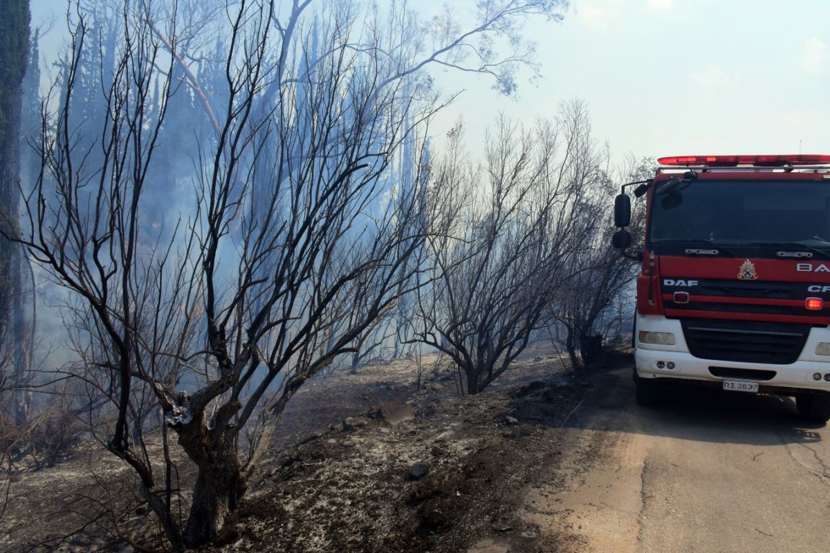 Έβρος: Στις Τρεις Βρύσες και την Δαδιά επικεντρώνονται οι πυροσβεστικές δυνάμεις