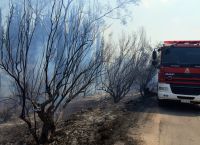 Έβρος: Στις Τρεις Βρύσες και την Δαδιά επικεντρώνονται οι πυροσβεστικές δυνάμεις