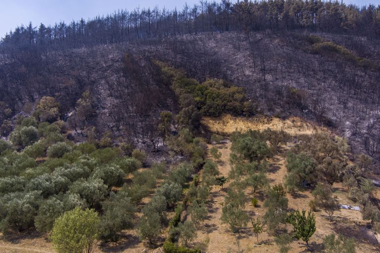 Firefighters battling Evros, Rodopi fires in the north and dispersed fires on Mt. Parnitha, Attica
