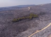 Φωτιά στην Αλεξανδρούπολη: 5 εικόνες από την τεράστια καταστροφική πυρκαγιά