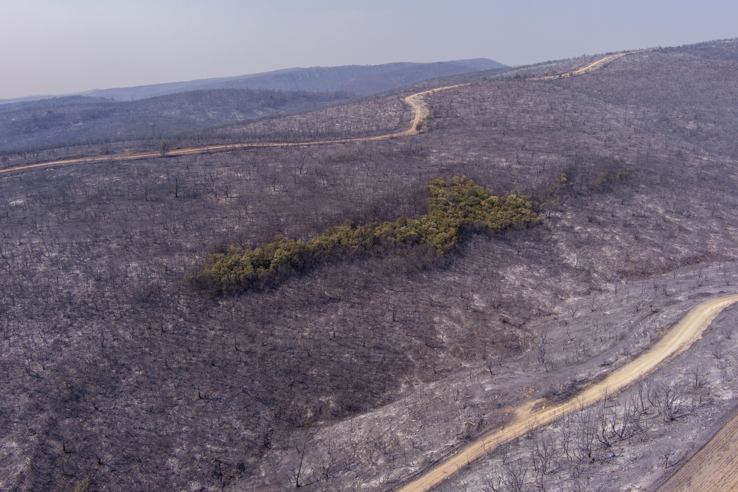 Φωτιά στην Αλεξανδρούπολη: 5 εικόνες από την τεράστια καταστροφική πυρκαγιά