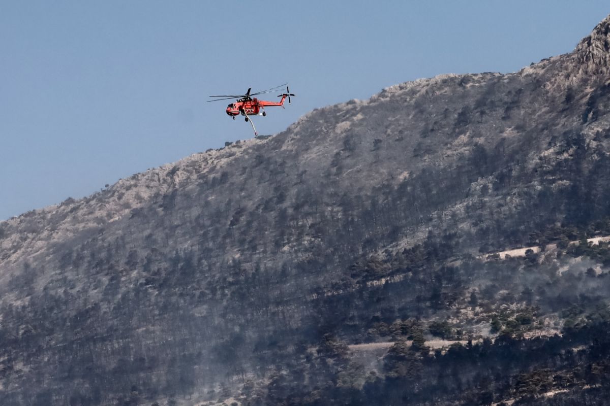 Φωτιά στον Έβρο: Μήνυμα του 112 για εκκένωση σε Λευκίμμη και Κασσιτερά Ροδόπης