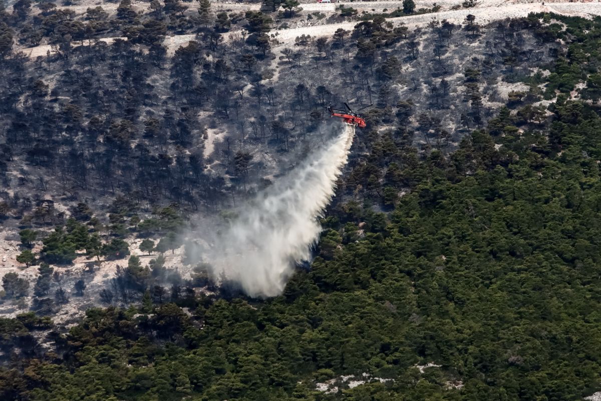 Σχεδόν 670.000 στρέμματα στάχτη σε Έβρο και Φυλή – Δορυφορικές εικόνες από τις καμένες εκτάσεις