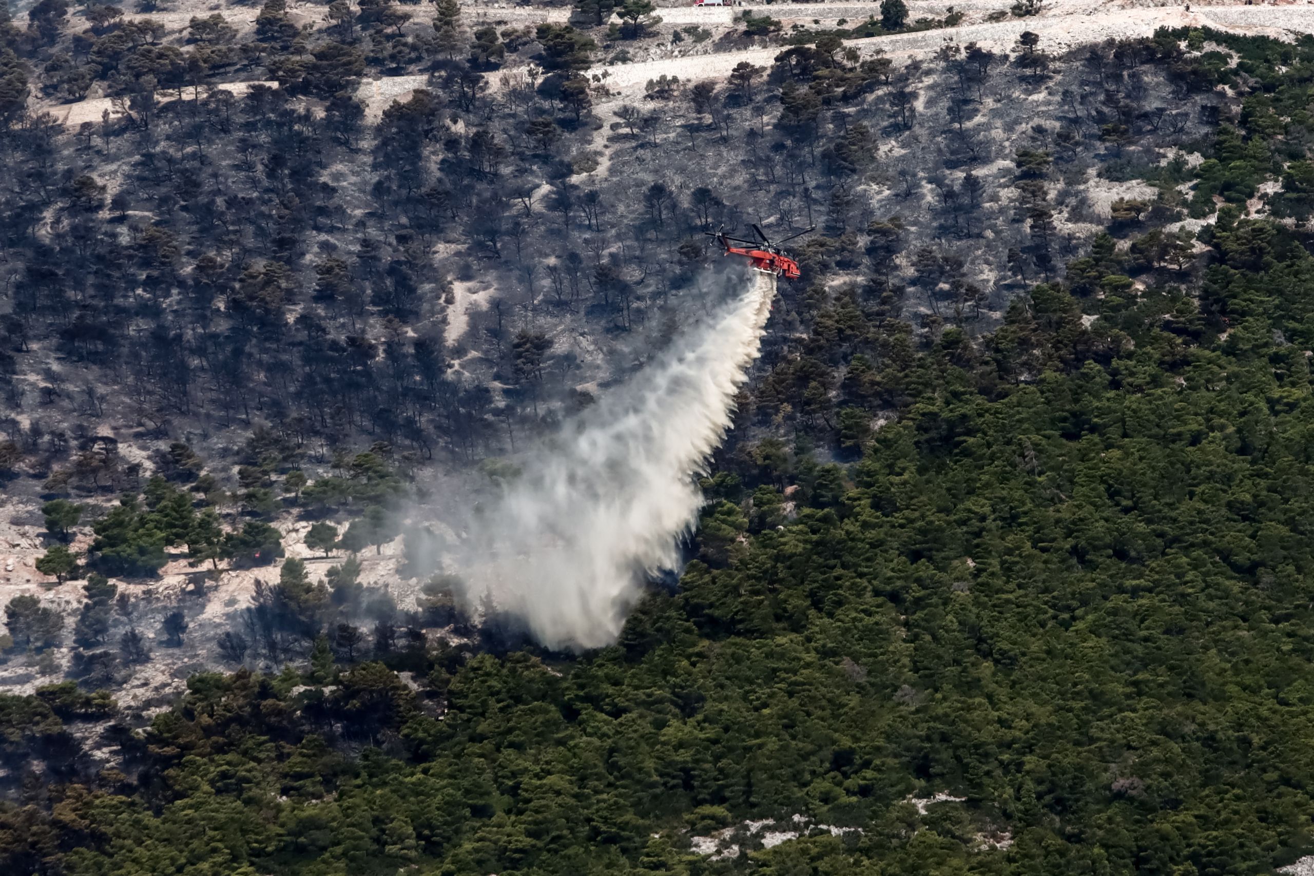 Σχεδόν 670.000 στρέμματα στάχτη σε Έβρο και Φυλή – Δορυφορικές εικόνες από τις καμένες εκτάσεις
